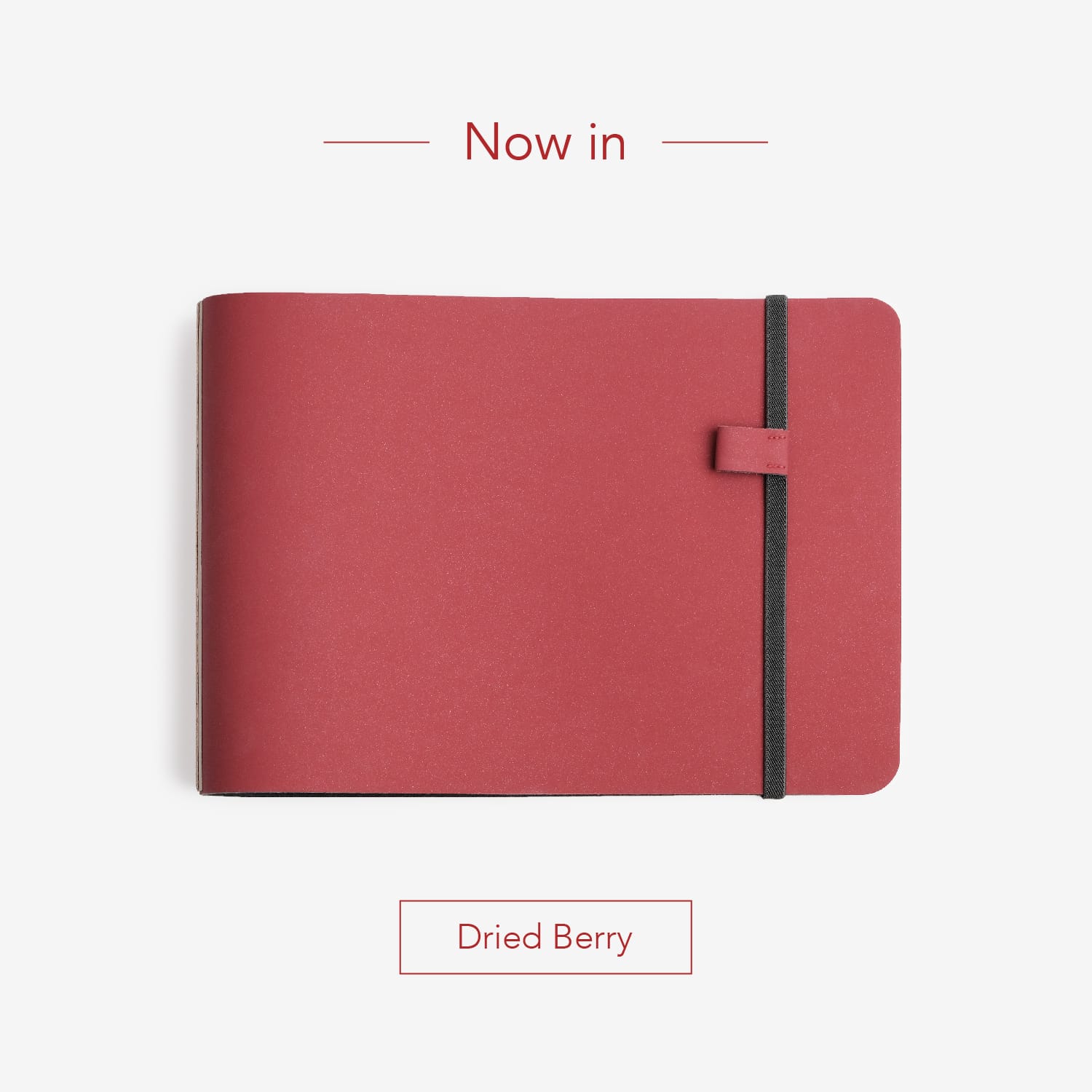 Finocam - Portadocumentos A4 NOPAL - Negro | Portafolio Con Cremallera - Bolsillo Interior Para Tablet | Carpeta De Cuaderno De Notas | Portadocumentos BIOMATERIAL - BASE CACTUS - View #10