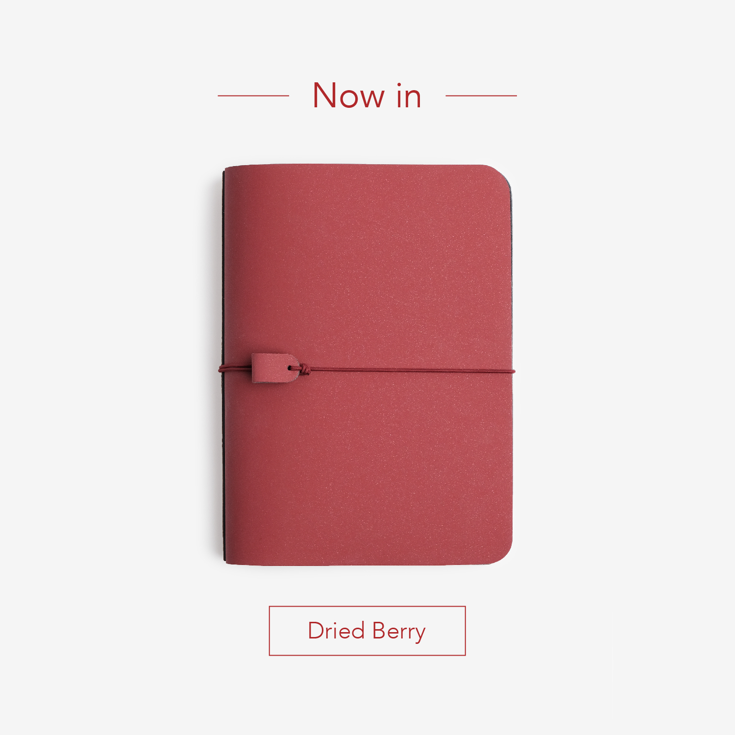 NOTA. WORK  / Pineapple Leather