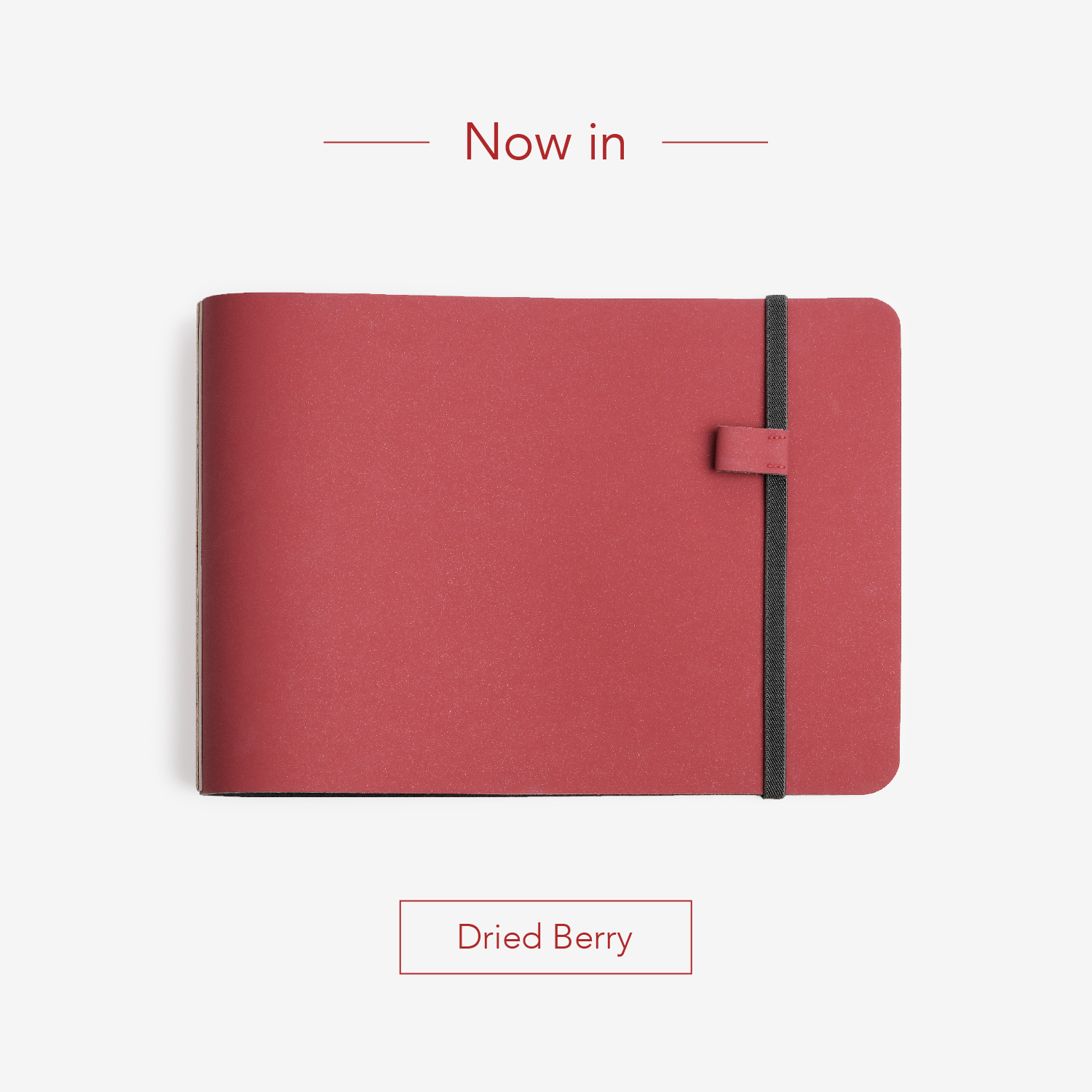 NOTA. PORTFOLIO  / Pineapple Leather